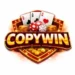 Copywin Game